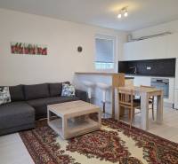 PRENÁJOM - 3 izbový byt v novostavbe - Nitra, blízko centra - Obývacia časť v 3-izbovom byte s kuchyňou, pohovkou, kobercom a podlahou s dreveným dekorom.