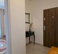 PRENÁJOM - 3 izbový byt v novostavbe - Nitra, blízko centra - Vstupná hala v 3-izbovom byte s podlahou s dreveným dekorom a drevenými dverami.