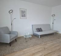 PRENÁJOM - Priestranný 3 izbový byt - Nitra, Centrum - Obývacia izba s kreslom, pohovkou a podlahou s dreveným dekorom v 3-izbovom byte.