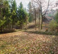 Chata na Domaši, Holčíkovce, Poľany-Monika - Jesenná krajina Rekreačných pozemkov v Holčíkovciach plná farebného lístia a stromov.