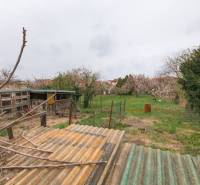 Na predaj rodinný dom Trnava, Zelenečská ulica, pozemok 1085 m2 - Záhrada s kôlňou a stromami za rodinným domom na Zelenečskej ulici v Trnave.