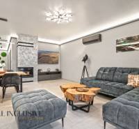 ALL INCLUSIVE I  4- IZBOVÝ RD SMART HOME NOVOSTAVBA- MOSTOVÁ (GA) - Interiér rodinného domu s pohodlnou sedačkou, krbom a stolom z dreveného dekoru.