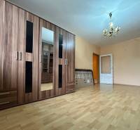 Na predaj 2i byt Levice - Svetlá obývacia izba s podlahou s dreveným dekorom a veľkou šatníkovou skriňou.