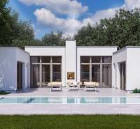 Na predaj výnimočný átriový rodinný dom s dvojgarážou v obci Dolná Seč - Rodinný dom v Dolnej Seči so záhradným bazénom a terasou obklopený zeleňou.