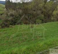 Slnečný pozemok pre vašu chatu v srdci Pienin – Havka - Zeleň a stromy na pozemkoch pre bývanie v meste Havka.