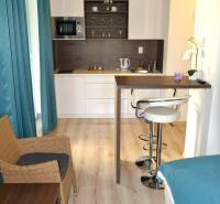 Na predaj apartmán s veľkou terasou Podhájská. - Garsónka s podlahou s dreveným dekorom, kuchynskou linkou a barovým pultom.