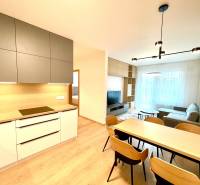 Bory:Na prenájom úplne nový, elegantný 2i byt/eng.text inside - Kuchyňa a obývačka v 2-izbovom byte s podlahou s dreveným dekorom a moderným nábytkom.