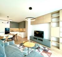 Bory:Na prenájom úplne nový, elegantný 2i byt/eng.text inside - Obývacia izba v 2-izbovom byte s kuchynským kútom a podlahou s dreveným dekorom.