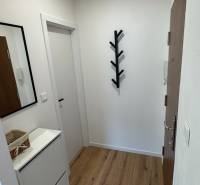 Exkluzívna ponuka moderného 1-izbového bytu s balkónom v meste Vráble - Predsieň s podlahou s dreveným dekorom, zrkadlom a vešiakom v 1-izbovom byte.