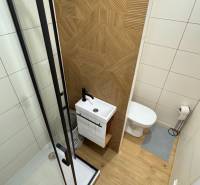 Exkluzívna ponuka moderného 1-izbového bytu s balkónom v meste Vráble - Kúpeľňa v 1-izbovom byte s podlahou s dreveným dekorom a sprchovacím kútom.