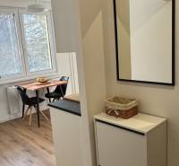 Exkluzívna ponuka moderného 1-izbového bytu s balkónom v meste Vráble - Jednoduchá predsieň so zrkadlom a výhľadom do kuchyne, v 1-izbovom byte.