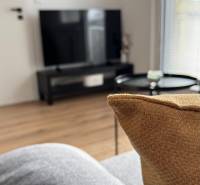 Exkluzívna ponuka moderného 1-izbového bytu s balkónom v meste Vráble - Obývacia izba v 1-izbovom byte s televíziou, sedačkou a podlahou s dreveným dekorom.