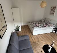 Exkluzívna ponuka moderného 1-izbového bytu s balkónom v meste Vráble - Svetlý 1-izbový byt s podlahou s dreveným dekorom a vkusnými dekoráciami.