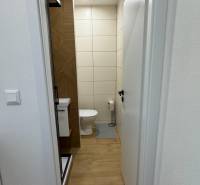 Exkluzívna ponuka moderného 1-izbového bytu s balkónom v meste Vráble - Kúpeľňa s toaletou a sprchovacím kútom v 1-izbovom byte, podlaha s dreveným dekorom.