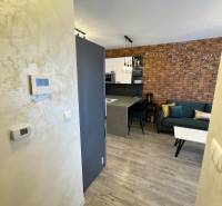 KOŠICE-2 IZBOVÝ BYT,NOVOSTAVBA,KOMPLET ZARIADENÝ,VL.PARK. MIESTO - Interiér 2-izbového bytu s podlahou s dreveným dekorom, tehlovou stenou a kuchynským kútom.