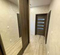 KOŠICE-2 IZBOVÝ BYT,NOVOSTAVBA,KOMPLET ZARIADENÝ,VL.PARK. MIESTO - Chodba s podlahou s dreveným dekorom, vstavanou skriňou a dverami v 2-izbovom byte.