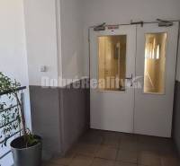 Dobré reality-na prenájom priestory 48,4 m2 a 30,90m2+ kúpelňa s wc, p - Chodba v kanceláriách s rastlinami, bielymi dverami a obrazom na stene.