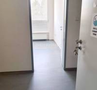 Dobré reality-na prenájom priestory 48,4 m2 a 30,90m2+ kúpelňa s wc, p - Interiér Kancelárie s bielymi stenami, podlahou s dreveným dekorom a dverami s oknom.