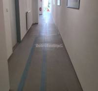 Dobré reality-na prenájom priestory 48,4 m2 a 30,90m2+ kúpelňa s wc, p - Dlhá chodba s bielymi stenami, stropnými svetlami a obrázkami v kanceláriách.