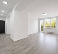 NOVÁ KOMPLET. REK., 3–IZB. BYT, PIVNICA, BALKÓN, DUKELSKÁ, BERNOLÁKOVO - Svetlý interiér 3-izbového bytu s podlahou s dreveným dekorom a veľkými oknami.