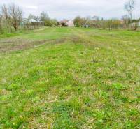 Veľký stavebný pozemok len 15 km od Nitry v obci Horná Kráľová - Zelený pozemok na bývanie v Hornej Kráľovej, s viditeľnými stromami a domami v diaľke.
