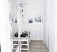 Na predaj 1,5 izbový apartmán v BA III Malokrasňanská 42,34m2 - Vstupná hala v 2-izbovom byte so zrkadlom, lavičkou a podlahou s dreveným dekorom.