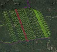 Dvorníky – Spoluvlastnícky podiel na lese a pozemku pri obci - Letecká mapa poľnohospodárskych a lesných pozemkov v Dvorníkoch-Včelároch s farebným vyznačením.