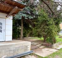 Na predaj 2 izbový murovaný domček, Bratislava, Záhorská Bystrica - Záhrada so stromami a vstupom do budovy na ulici Podkerepušky v Bratislave-Záhorskej Bystrici.