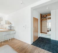 NUERA | PREDAJ 4i byt s predzáhradkou pri lese + 2x parking , BAIV - Vstupná chodba v 4-izbovom byte s podlahou s dreveným dekorom a kuchynským kútom.