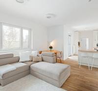 NUERA | PREDAJ 4i byt s predzáhradkou pri lese + 2x parking , BAIV - Svetlá obývacia izba s kuchynským kútom, pohovkou a podlahou s dreveným dekorom.