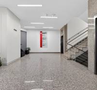 Kancelárie od 20m2 na PRENÁJOM | TOP biznis lokalita - Chodba v kanceláriách so schodiskom, výťahom, kvetmi a infopanelom.