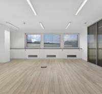 Kancelárie od 20m2 na PRENÁJOM | TOP biznis lokalita - Kancelárie s podlahou s dreveným dekorom a veľkými oknami, Bratislava, Plynárenská.