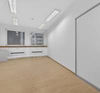 Kancelárie od 20m2 na PRENÁJOM | TOP biznis lokalita - Kancelárie s podlahou s dreveným dekorom a oknami, vybavené osvetlením.