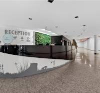 Kancelárie od 20m2 na PRENÁJOM | TOP biznis lokalita - Recepcia v kanceláriách s vertikálnou záhradou, lesklými podlahami a bielymi stenami.