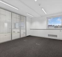 Kancelárie od 20m2 na PRENÁJOM | TOP biznis lokalita - Kancelárie s kobercovou podlahou a presklenými priečkami, neutrálne farby.