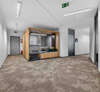 Kancelárie od 20m2 na PRENÁJOM | TOP biznis lokalita - Kancelárie ponúkajú sklenenú kabínu s podlahou s dreveným dekorom a tlmeným osvetlením.