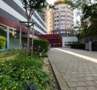 Kancelárie od 20m2 na PRENÁJOM | TOP biznis lokalita - Zeleň a architektúra kancelárií na Plynárenskej v Bratislave.