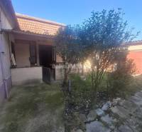 Na predaj rodinny dom v obci Iža. - Rodinný dom v Iži s dvorom, chodníkom a rastlinami pred domom.