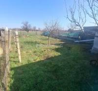 Na predaj rodinny dom v obci Iža. - Záhrada s trávou a ovocnými stromami pri rodinnom dome v obci Iža.