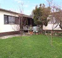 Predaj, rodinný dom Poltár - EXKLUZÍVNE HALO REALITY - Rodinný dom v Poltári so záhradou a stromami, upravený trávnik.