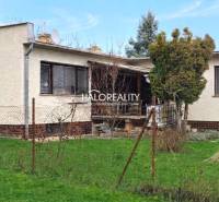 Predaj, rodinný dom Poltár - EXKLUZÍVNE HALO REALITY - Rodinný dom v Poltári obklopený trávnikom a stromami, s terasou a plotom.