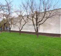 Predaj, rodinný dom Poltár - EXKLUZÍVNE HALO REALITY - Záhrada s trávnikom a stromami pri rodinnom dome v Poltári.