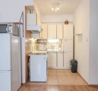 Na prenájom 2 izbový byt v Piešťanoch - Kuchynská linka s chladničkou a mikrovlnkou v 2-izbovom byte, podlaha s dreveným dekorom.