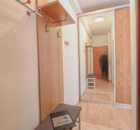 Na prenájom 2 izbový byt v Piešťanoch - Chodba v 2-izbovom byte s podlahou s dreveným dekorom a vstavanou skriňou.