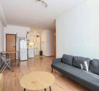 Na prenájom 2 izbový byt v Piešťanoch - Obývačka v 2-izbovom byte s podlahou s dreveným dekorom a šedou pohovkou.