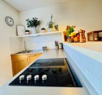 Tichý 2i byt v TOP Lokalite Nív | Trenčianska, BA - Svetlá kuchyňa s varnou doskou, drezom, rastlinami a doplnkami v 2-izbovom byte.