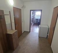 Prenájom veľký 1 izbový byt 48m2 Vráble- Centrum - Vstupná hala a chodba v 1-izbovom byte s podlahou s dreveným dekorom.