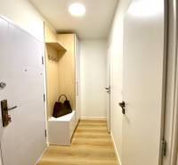 Dizajnový moderný 2 izbový byt Jurigovo nám. Bratislava IV Karlova Ves - Predsieň s podlahou s dreveným dekorom, skrinkou a vešiakom v 2-izbovom byte.