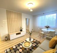 Dizajnový moderný 2 izbový byt Jurigovo nám. Bratislava IV Karlova Ves - Obývacia izba 2-izbového bytu s podlahou s dreveným dekorom, svetlým nábytkom a dekoráciami.
