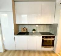 Dizajnový moderný 2 izbový byt Jurigovo nám. Bratislava IV Karlova Ves - Kuchynská linka s bielymi skriňami, sivou pracovnou doskou a podlahou s dreveným dekorom, 2-izbový byt.